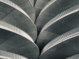 Betonplex: De sterke alleskunner in de bouw