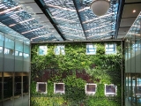 De trend van plantenwanden en moswanden in je woning!